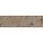 Fassade Fliese Mattone Pietra Ochra 24,5/6,6,3