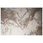 Teppich Merlyne 1,9/2,7 E568A SGZ51 Creme/Dunkelbeige,2