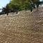 Gartenzaun 1,5 m x 10 m braun,4