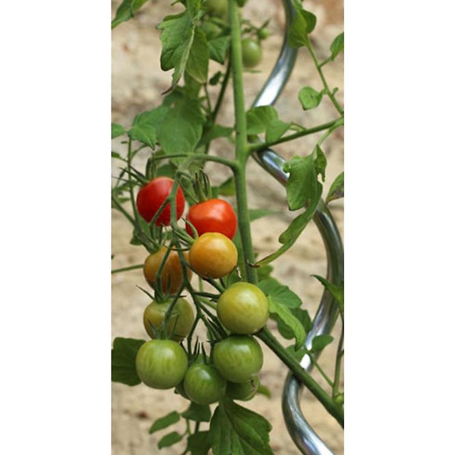 Tomatenspiralstab MSR-6-180