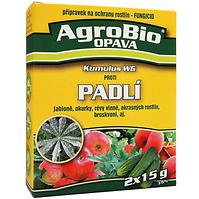 Kumullus gegen Mehltau 2x15g