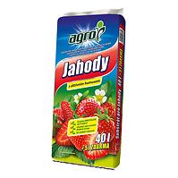 Agro Erdbeerenerde 40+5l
