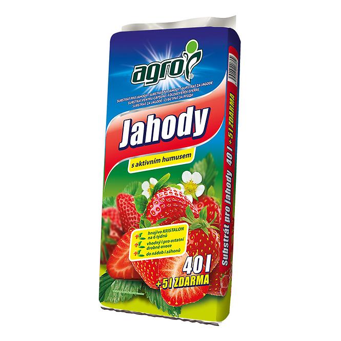 Agro Erdbeerenerde 40+5l