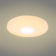 Deckenleuchte 41336-24 LED 44cm