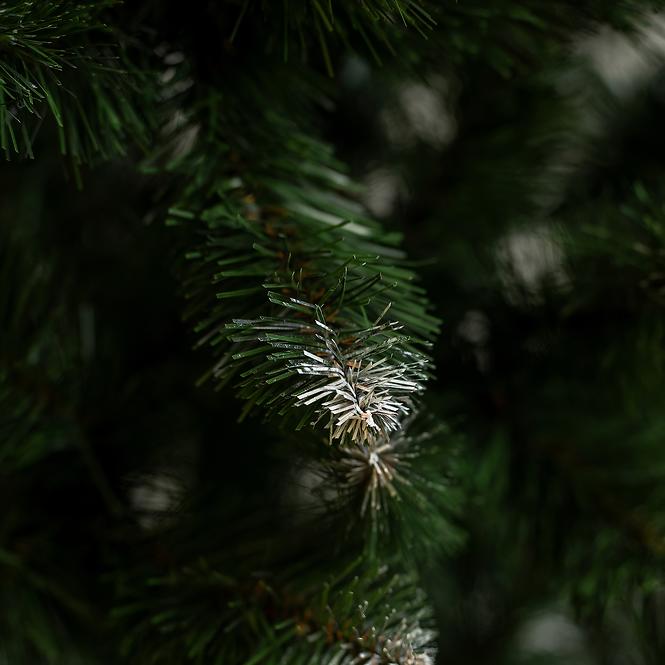 KIEFER WEIHNACHTSBAUM MIT WEIß ENDE 180 cm.