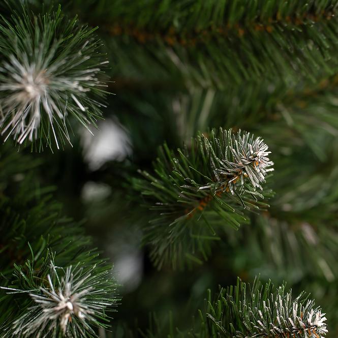 KIEFER WEIHNACHTSBAUM MIT WEIß ENDE 180 cm.