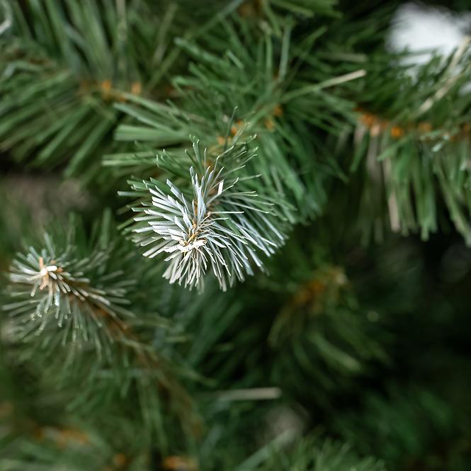 KIEFER WEIHNACHTSBAUM MIT WEIß ENDE 220 cm.