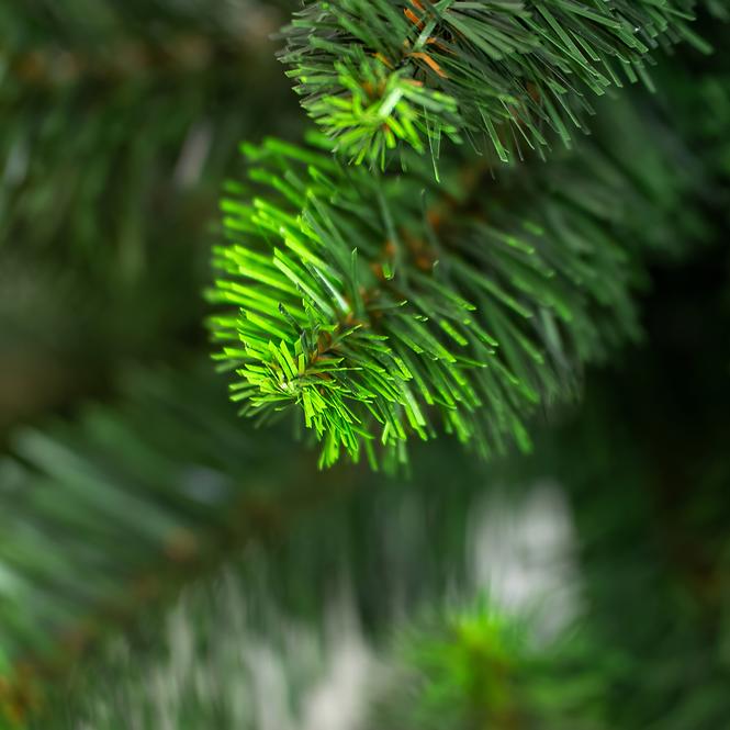 KIEFER WEIHNACHTSBAUM MIT GRÜNER ENDE 80 cm.