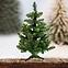 KIEFER WEIHNACHTSBAUM MIT GRÜNER ENDE 80 cm.