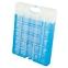 Kühleinsatz Freez Pack M30 25,5x20x3cm 1200g