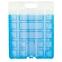 Kühleinsatz Freez Pack M30 25,5x20x3cm 1200g,2