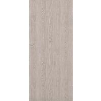 Schiebetür Standard 01 90R Eiche silber