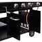 Gas - Kohlengrill Combo II 14,0 Kw Schwarz 19760,4