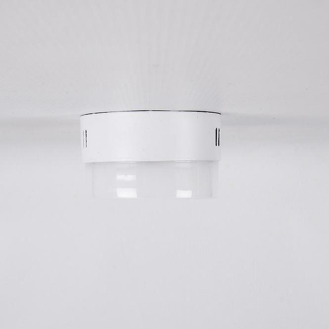 ROBIN LED C 6W 4000K 03085