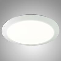 Lampe 15W circle CW 6500k