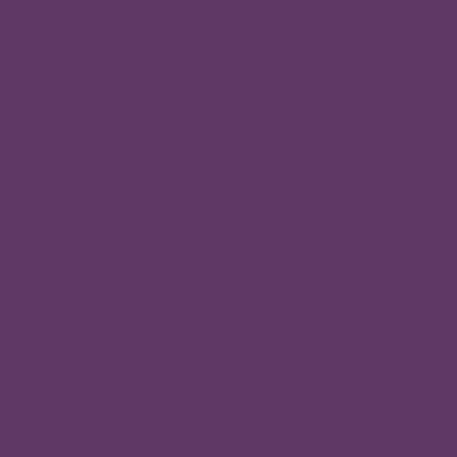Farbe Trendy Colors lila  (23) 2,5 l