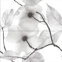 Dekorfliese Flower Soft Glossy 2 x 59,4/60