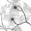 Dekorfliese Flower Soft Glossy 2 x 59,4/60