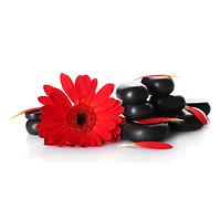 Dekorfliese Glas rote Gerbera  30/60