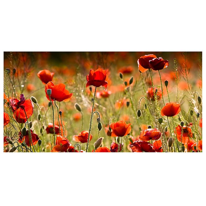 Dekorfliese Glas Mohn 30/60