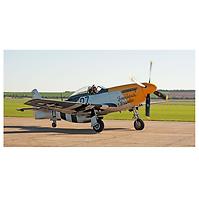 Dekorfliese Glas Mustang P1 30/60