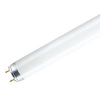 Röhre CFL T8 BC 18W T8 6500K