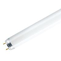 Röhre T8 BC 36W T8 4200K CFL