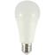 59BZ ŻARÓWKA LED TR 18W A60 6500K,2