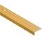 Treppenprofil schmal LSW  LSW 10X25 1,0 C23 Gold