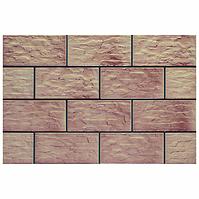 Fassade Fliesenstein  CER-23 30/14,8