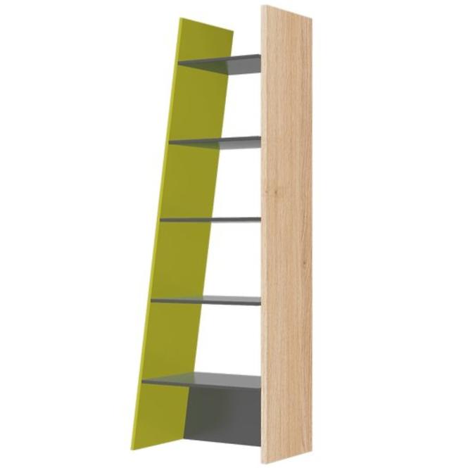 Regal Wow 62cm Graphit/Grüner Leguan/Eiche Nagano