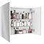 Spiegelschrank SILVER SHADOW E65 2D0S DSM,2