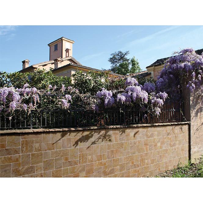 Bodenfliese Muro Di Siena Red 31/62