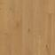 Vinylboden SPC Crescendo R081 5mm 23/34