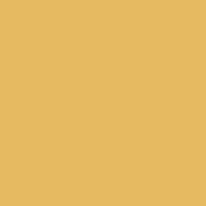 SilikonColor Baumit 14 l - Farbton 0203