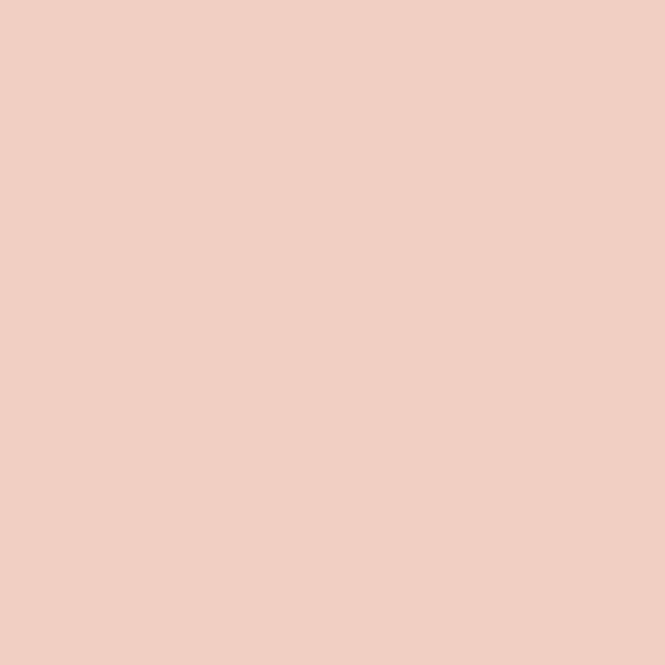 SiliconeColor Baumit 5L – Farbton 0508