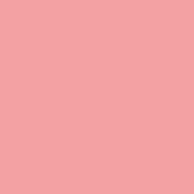 SiliconeColor Baumit 5L – Farbton 0526