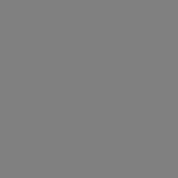 SiliconeColor Baumit 5L – Farbton 0884