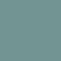 SiliconeColor Baumit 5L – Farbton 0982
