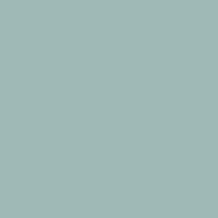 SiliconeColor Baumit 5L – Farbton 0984
