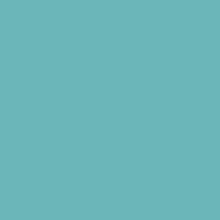 SiliconeColor Baumit 5L – Farbton 0992