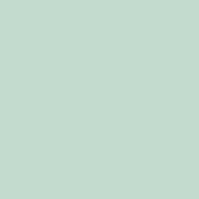 SiliconeColor Baumit 5L – Farbton 1006
