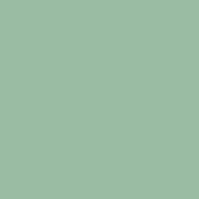 SiliconeColor Baumit 5L – Farbton 1014