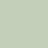 SiliconeColor Baumit 5L – Farbton 1036