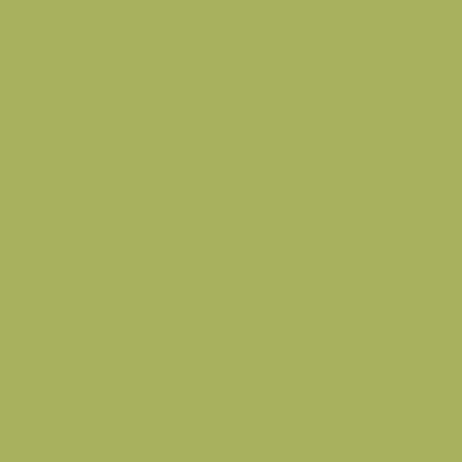 SiliconeColor Baumit 5L – Farbton 1142