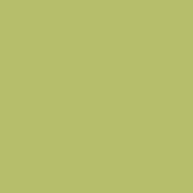 SiliconeColor Baumit 5L – Farbton 1143