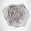 LAMPA WTYKOWA KWIAT HL993L0,4W WHITE,2