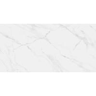 Bodenfliese Naos Blanco Pulido 60/120