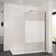 WALK-IN Mist Duschwand 120 x 195 Druck,3