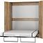 Couchregal Teddy 160cm Eiche Craft Golden